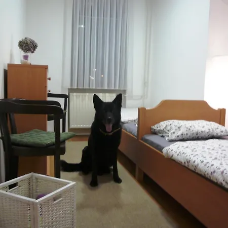 Vrba Хостел Любляна