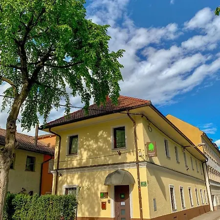 Vrba Auberge de jeunesse
